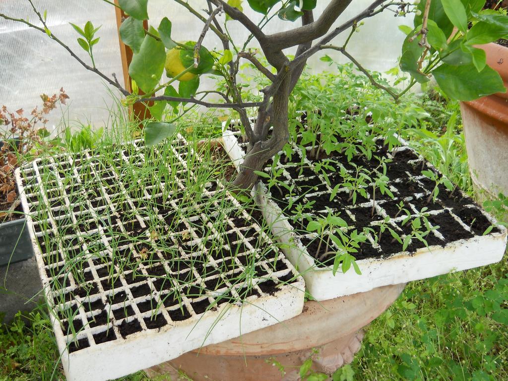 La Badiola Villa Chiusi Ngoại thất bức ảnh